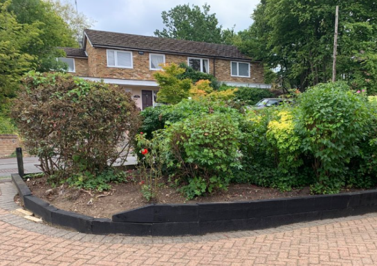 Before planting and mulching 